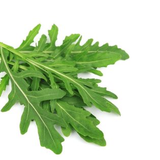 جرجير مستورد بيبي حبة