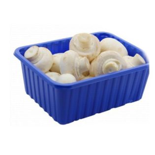 مشروم (فطر) علبة