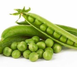 بسلة خضرة كيلو