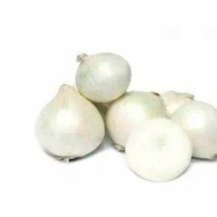 بصل ابيض كيلو