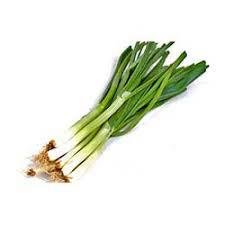 بصل اخضر حبة
