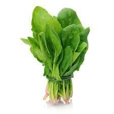 سبانخ حبة